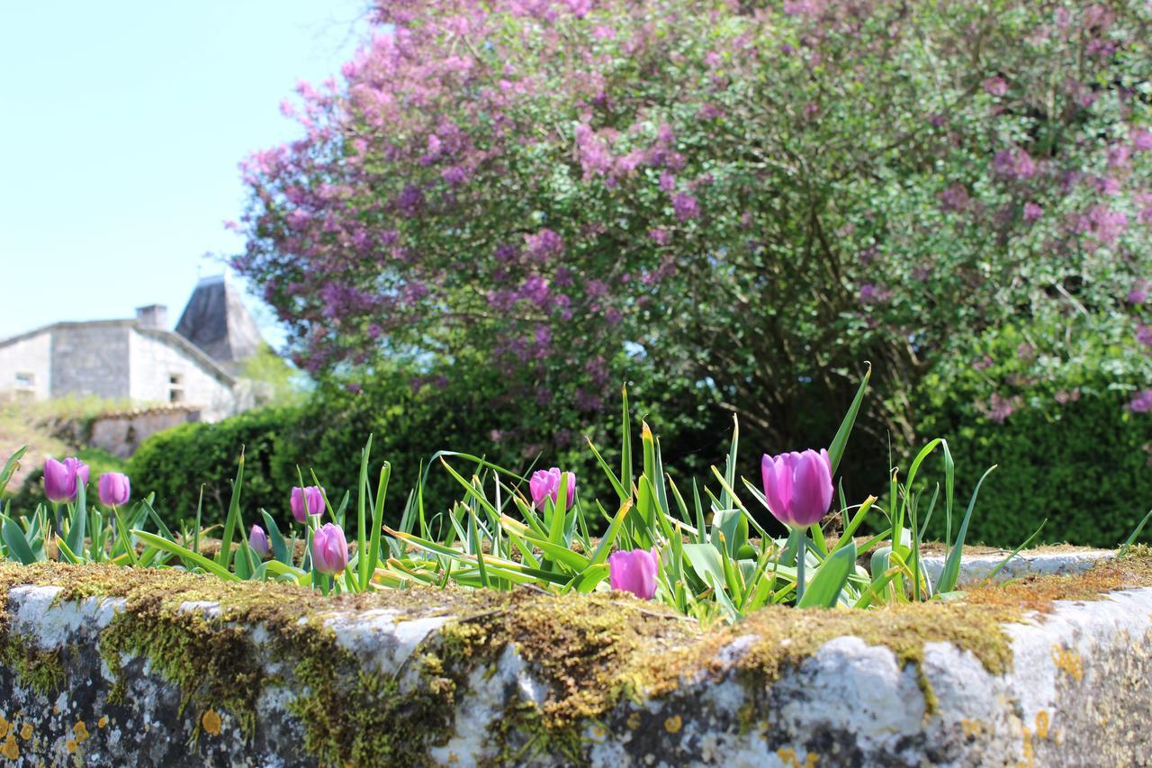 Chateau De Sers Sers  Luaran gambar